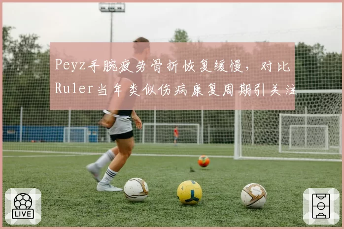 Peyz手腕疲劳骨折恢复缓慢，对比Ruler当年类似伤病康复周期引关注