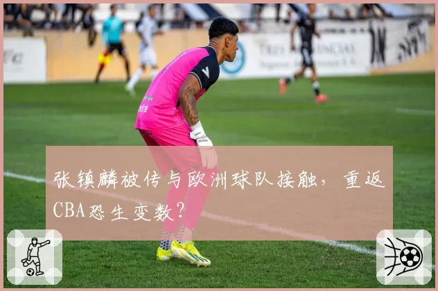 张镇麟被传与欧洲球队接触,重返CBA恐生变数?